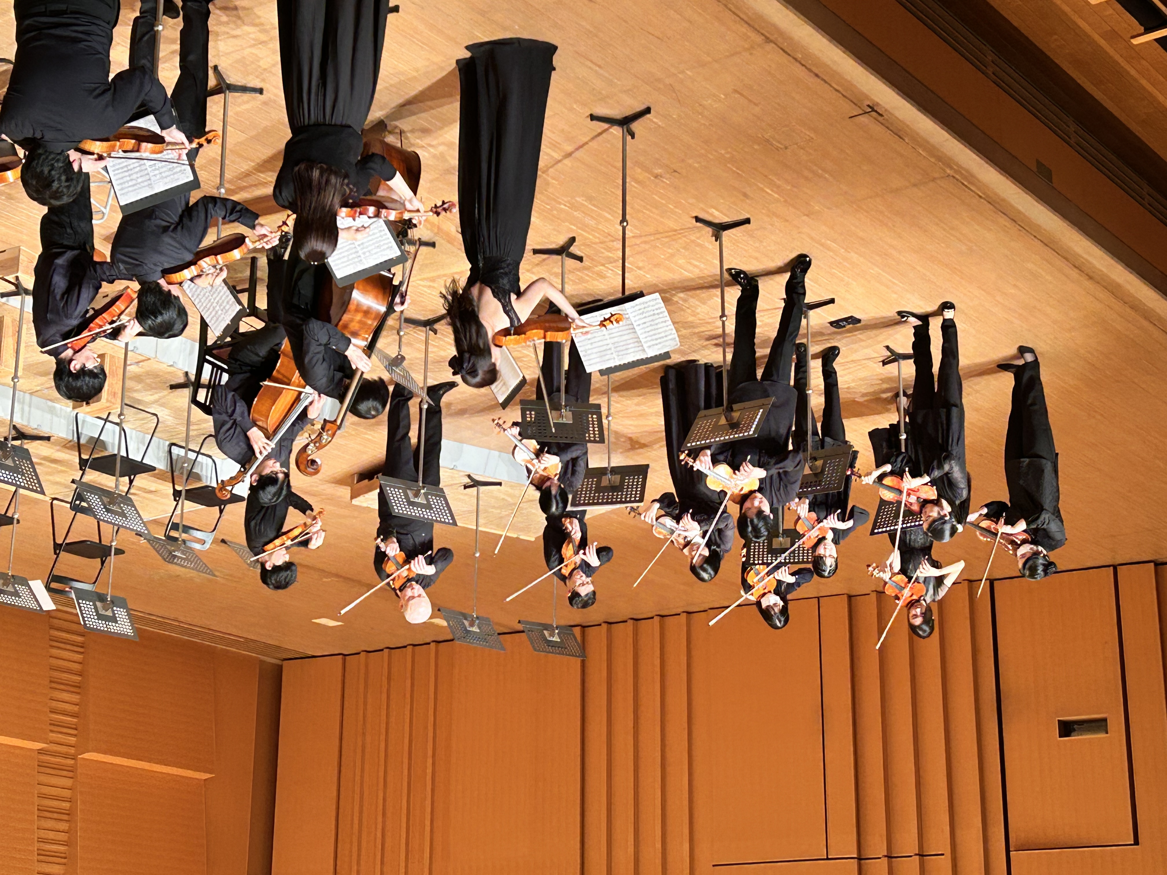Vari Orchestra Concert